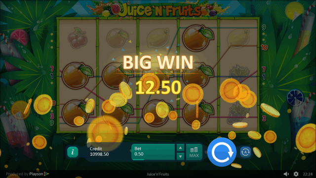 Juice'N'Fruits - скриншот 2