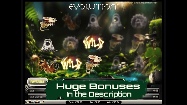 Evolution - скриншот 3