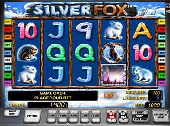 Silver Fox в клубе Вулкан 24